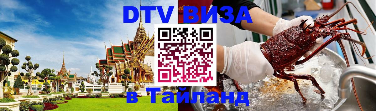 Оформление DTV визы под ключ: стоимость и тарифы, только загранпаспорт - 20.11.2025 